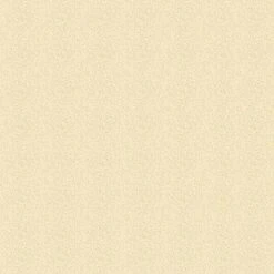 Olympic Patio Tones Deck Coating 1 Gallon, Champagne -Swimline Shop 3558 b sq