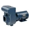 Pentair Sta-Rite D Series Cast Iron Pump 230V, 3 HP -Swimline Shop 4096 a sq
