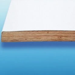 SR Smith Eureka Commercial Replacement Diving Board, 14 Ft