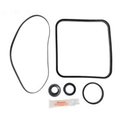 Hayward Super Pump Go Kit