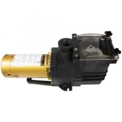 Doheny's Pool Pro Plus Inground Pump, 1.5 HP 115/230V -Swimline Shop 90555 b2020 1