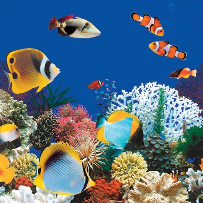 Swimline J-Hook Unibead Pool Liner, 48 In Wall, 15x24 Ft Oval, 20 Gauge, Caribbean 4 Swimline J-Hook Unibead Pool Liner, 48 In Wall, 15x24 Ft Oval, 20 Gauge, Caribbean - Image 2