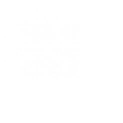 SR Smith Fibre-Dive Replacement Diving Board, 6 Ft, White