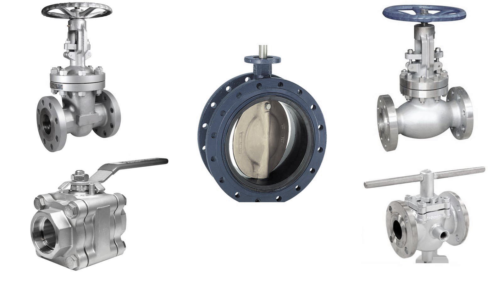 Swimline Shop 1 Swimline Shop -Swimline Shop R